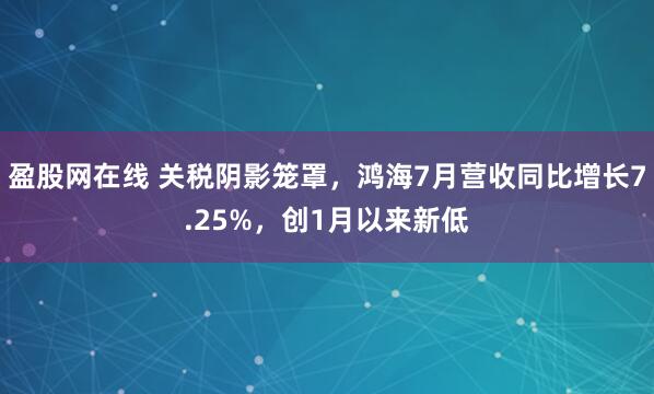 盈股网在线 关税阴影笼罩，鸿海7月营收同比增长7.25%，创1月以来新低